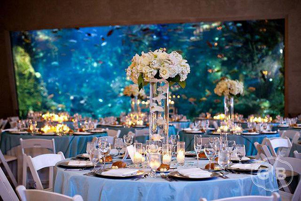 Romantična atmosfera na vjenčanju uz akvarij