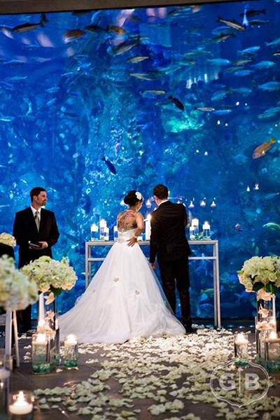 Romantično vjenčanje uz akvarij